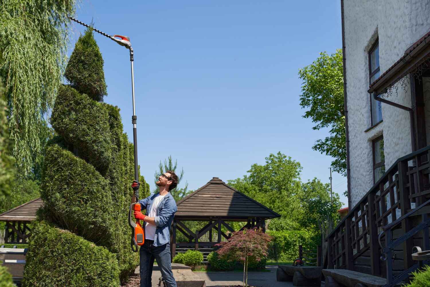 Trusted Fivepointville, PA Tree Service Experts